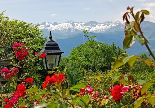 Iconographie - Vue sur la montagne vue du restaurant Les Hauts Pâturages