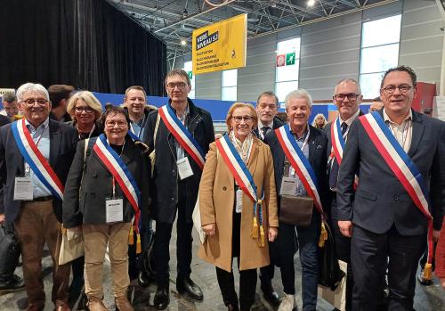 Iconographie - Délégation vendéenne au Congrès des Maires de France, à Bordeaux