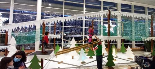 Iconographie - Accrobranche d'hiver pour Noel par Envol