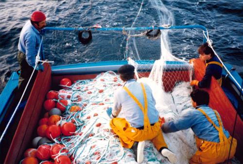 Iconographie - Pêche aux thons - Filage du filet maillant dérivant - «Melpomène» - 1984