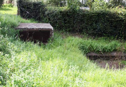 Iconographie - Le lavoir de la Braud avant restauration