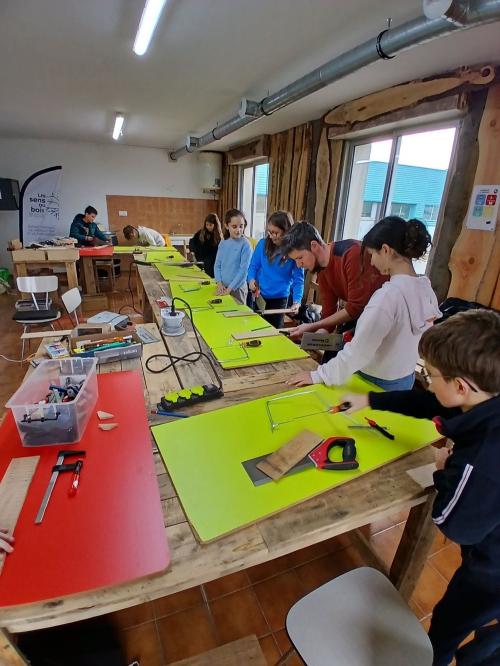 Iconographie - Les Sens du bois - Atelier espace jeunes de Pouzauges 