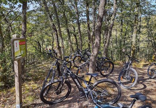 Iconographie - Location de vélos - Vendée-tout-terrain