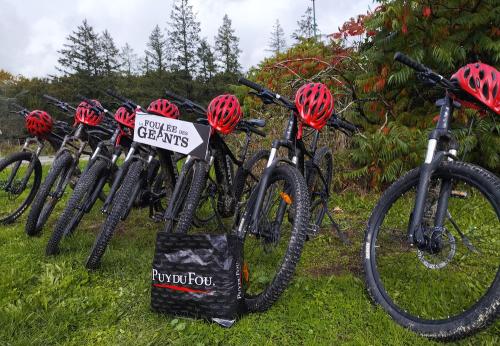 Iconographie - Location de vélos - Vendée-tout-terrain