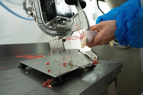 Iconographie - Fabrication de saucissons secs Fabien Tessier