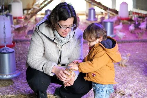 Iconographie - Ferme-des-Petites-Plume