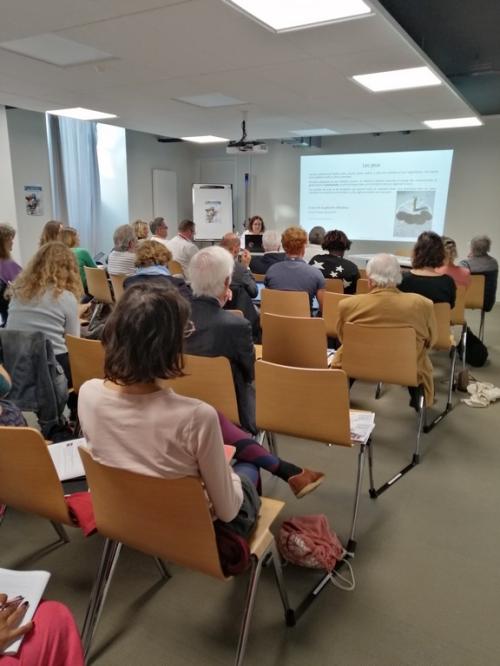 Iconographie - Rencontres Festimonia 2023
