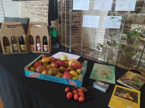 Iconographie - Fête de la pomme