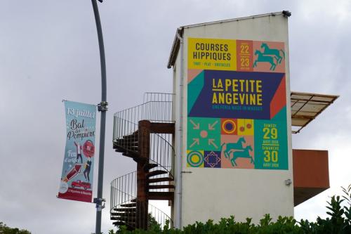 Iconographie - la petite angevine