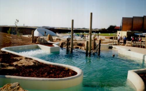 Iconographie - Piscine