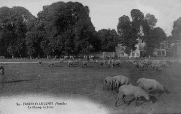 Iconographie - Le champ de foire