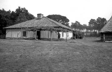 Iconographie - Ecomusée de La Grande Lande à Marquez dans les Landes