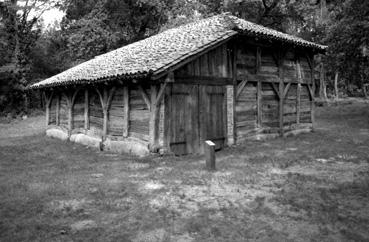 Iconographie - Ecomusée de La Grande Lande à Marquez dans les Landes