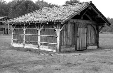 Iconographie - Ecomusée de La Grande Lande à Marquez dans les Landes