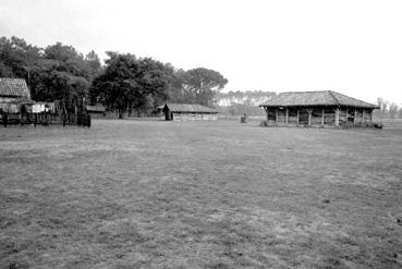 Iconographie - Ecomusée de La Grande Lande à Marquez dans les Landes