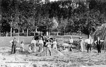 Iconographie - Scènes  champêtres - Le battage du blé au rouleau