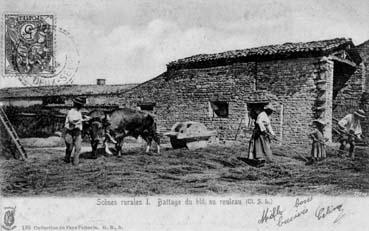 Iconographie - Scènes rurales I - Battage du blé au rouleau