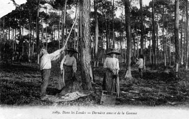 Iconographie - Dans les Landes - Dernière amasse de la gemme