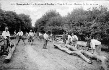 Iconographie - Chantier des bois en grume