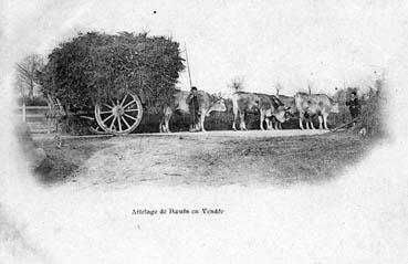 Iconographie - Attelage en Vendée