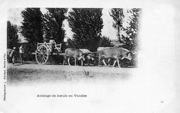 Iconographie - Attelage en Vendée