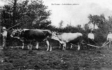 Iconographie - En Poitou - Le laboureur poitevin