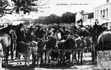 Iconographie - Saujon - La foire aux ânes