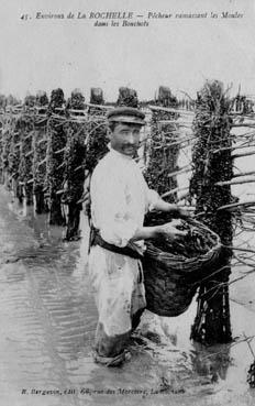 Iconographie - Pêcheur ramassant les moules dans les bouchots