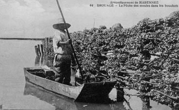 Iconographie - Brouage - La pêche des moules dans les bouchots