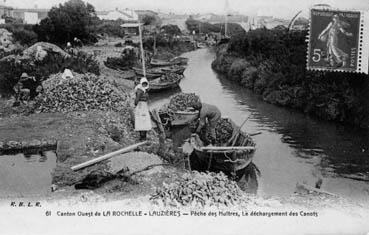 Iconographie - Lauzière - Pêche des huîtres, Le déchargement des canots