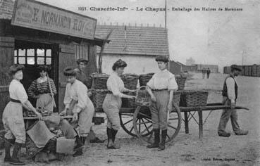 Iconographie - Le Chapus - Emballage des huîtres de Marennes