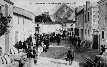 Iconographie - Le marché aux haricots