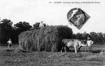 Iconographie - Coutume du Pays, la rentrée des foins