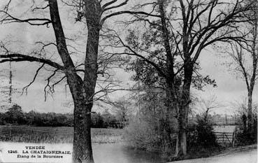 Iconographie - Etang de la Boursière