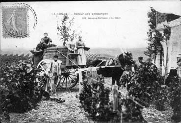 Iconographie - Retour des vendanges