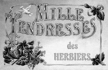Iconographie - Mille tendresses des Herbiers