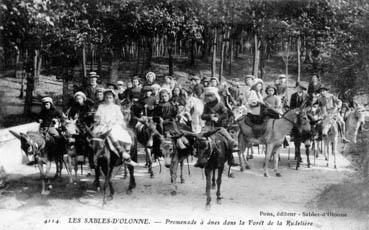 Iconographie - Promenade à âne dans la forêt de la Rudelière