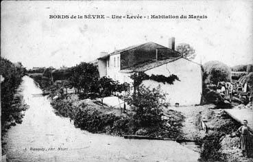 Iconographie - Bord de la Sèvre - Une "levée" : Habitation du marais