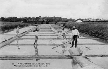 Iconographie - Angoulins-sur-Mer : Marais salants