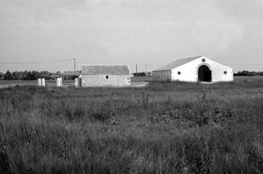 Iconographie - La grange étable de l'îlot de Sallertaine au Daviaud