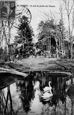 Iconographie - Un coin du jardin des Plantes