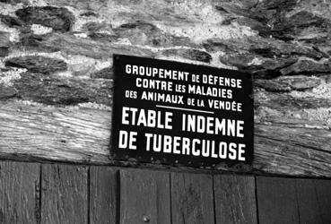 Iconographie - Plaque " Etable indemne de Tuberculose"