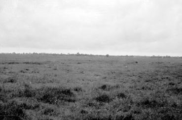 Iconographie - Prés "haut", route du Perrier