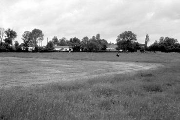 Iconographie - Prés "haut" fauché, route du Perrier