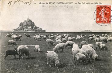 Iconographie - Grèves du Mont Saint-Michel - Les prés salés