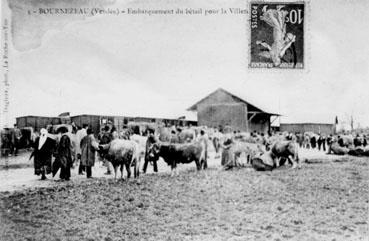 Iconographie - Embarquement du bétail pour la Villette