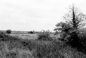 Iconographie - Marais vu de la Porte