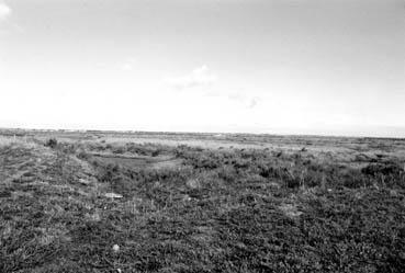 Iconographie - Vue sur le polder