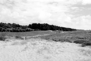 Iconographie - Dune grise au Pont d'Yeu