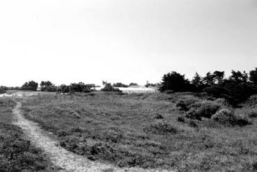 Iconographie - Plage des Roses